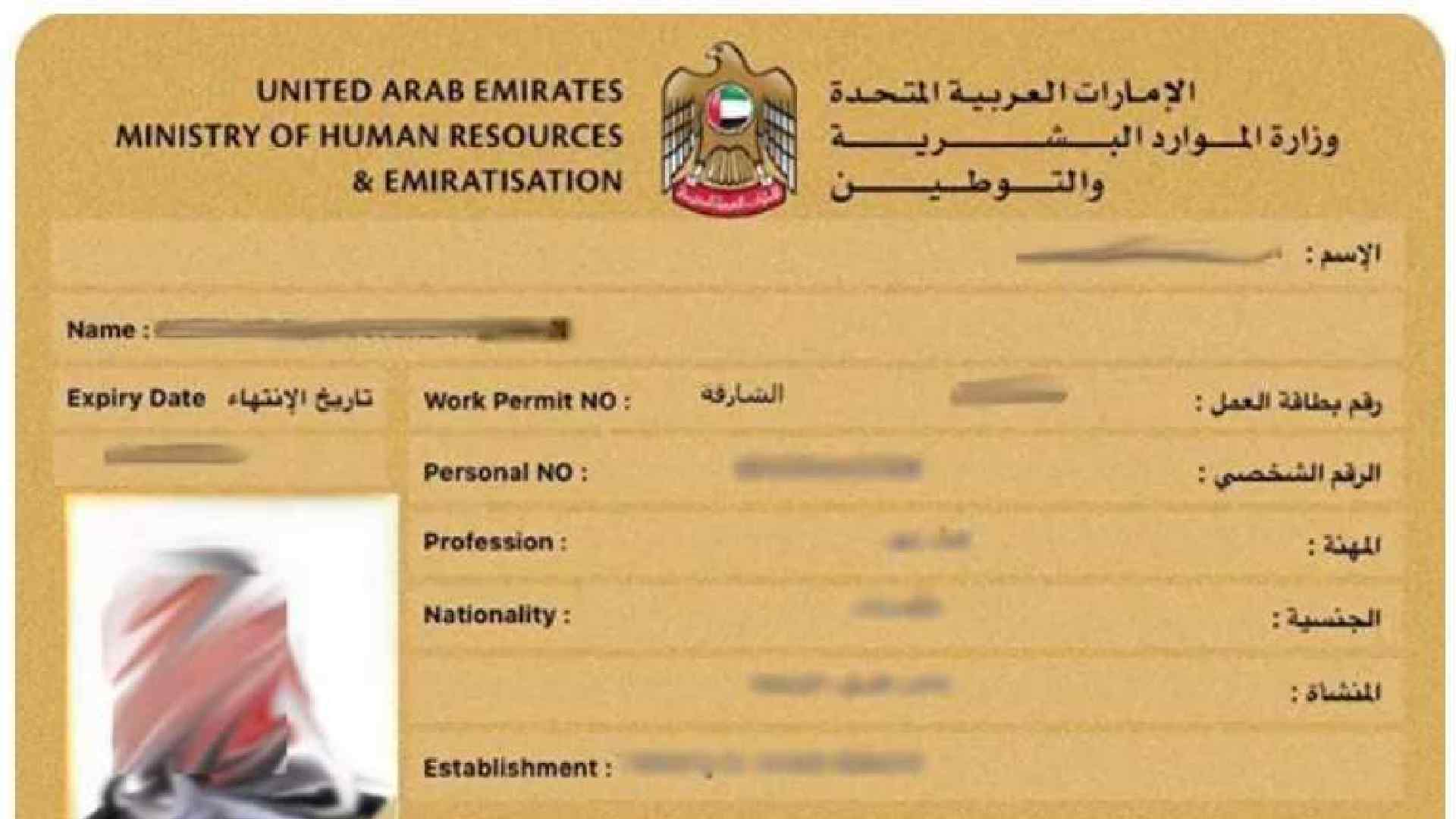 Labour Card in UAE