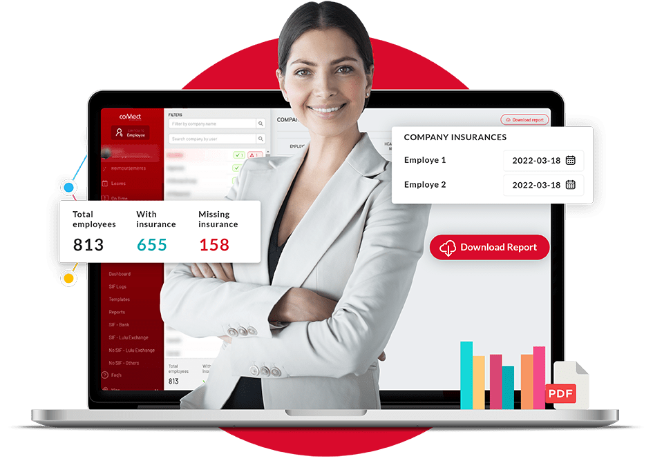Create Payroll Reports Connect HR