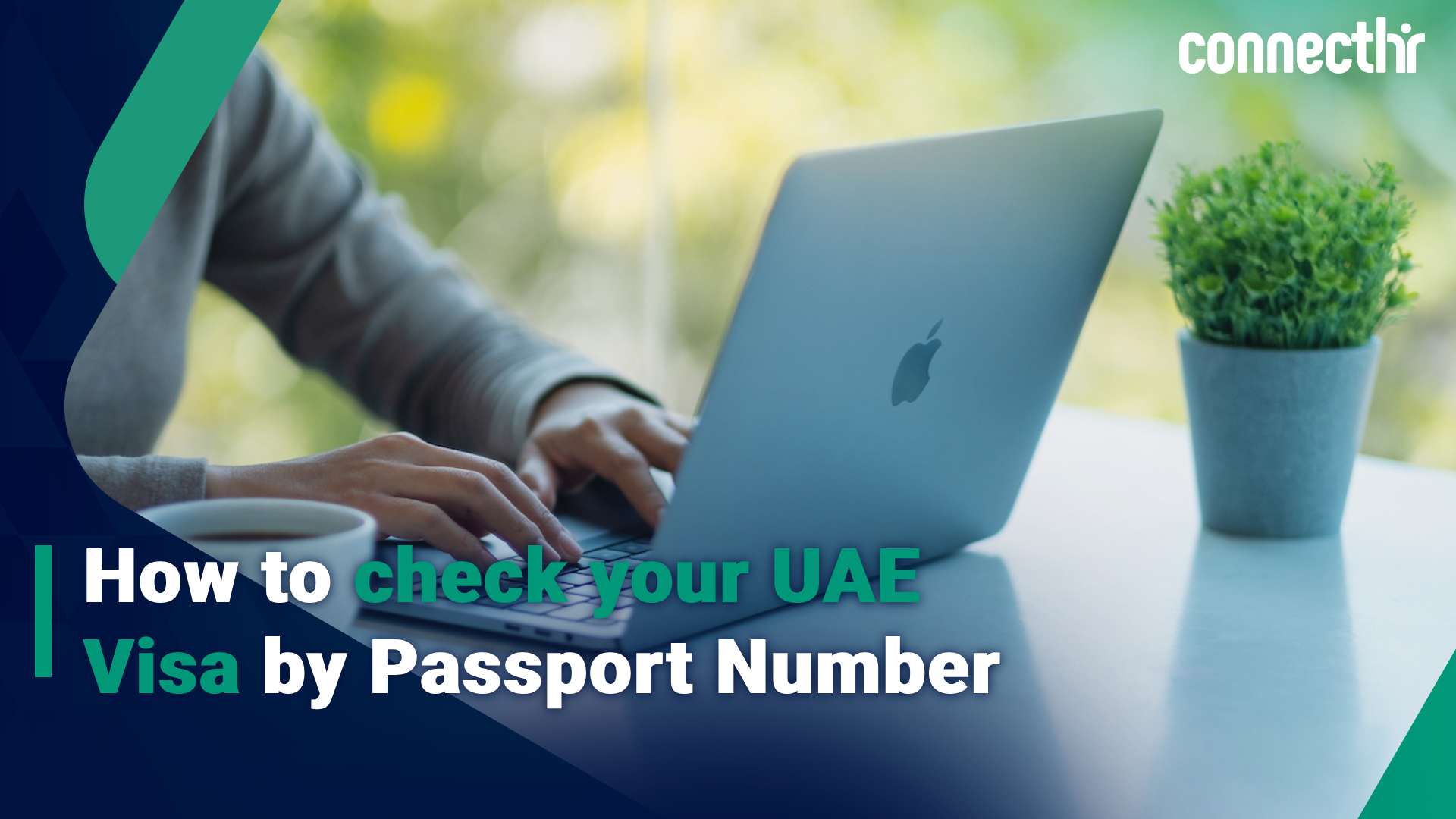 How to check your UAE Visa by Passport Number